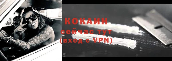 шишки Пестово