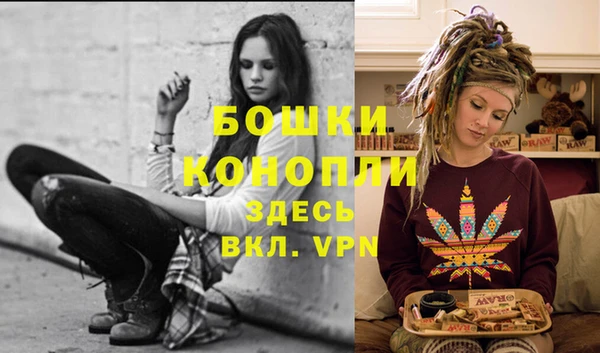 шишки Пестово