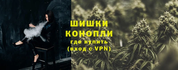 шишки Пестово